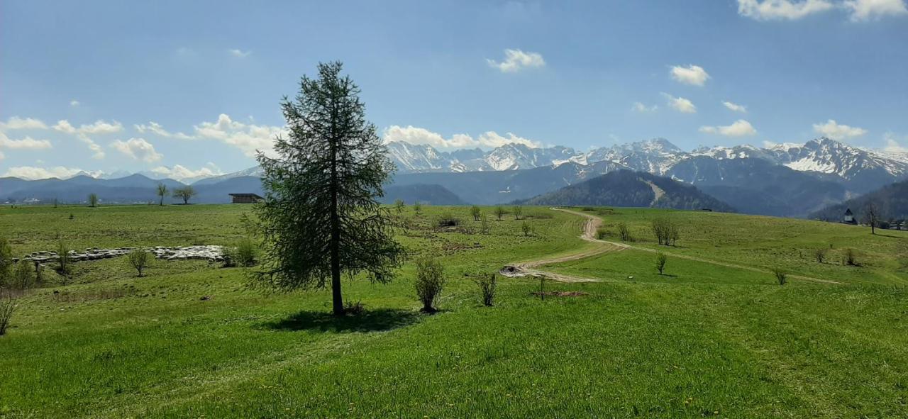 Pokoje Goscinne Przeklasa Pawel Zakopane Extérieur photo