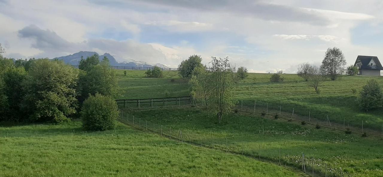 Pokoje Goscinne Przeklasa Pawel Zakopane Extérieur photo