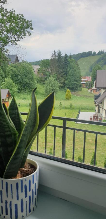 Pokoje Goscinne Przeklasa Pawel Zakopane Extérieur photo